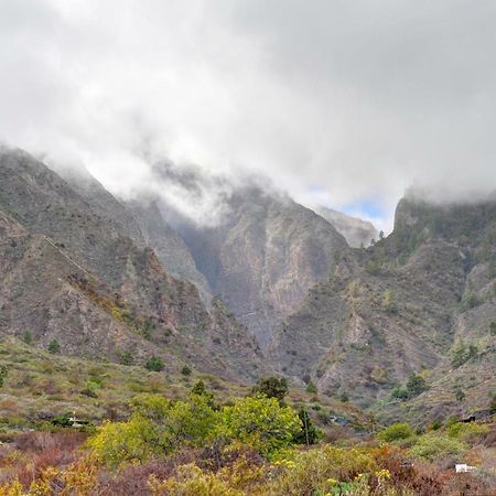 Naturaleza Viva El Socorro Buitenkant foto