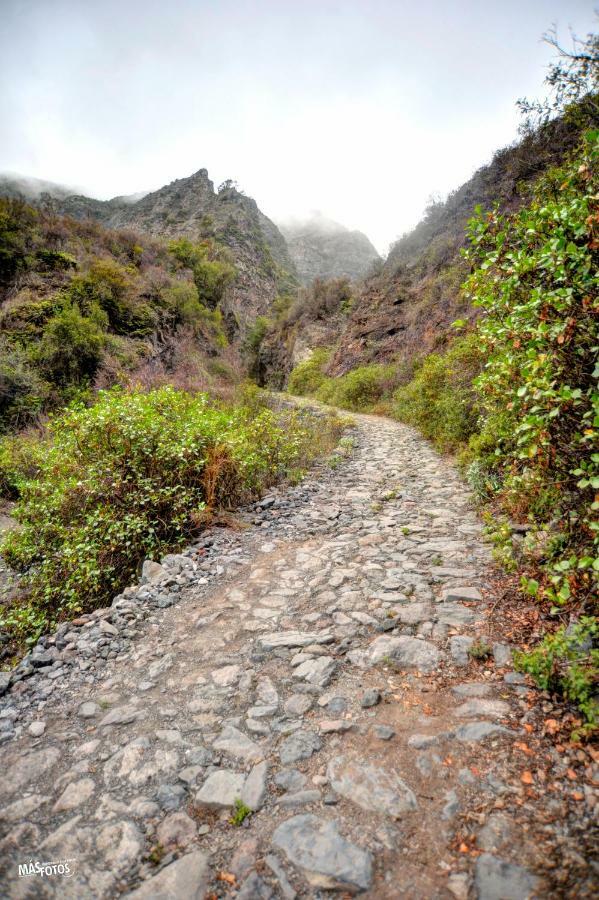 Naturaleza Viva El Socorro Buitenkant foto