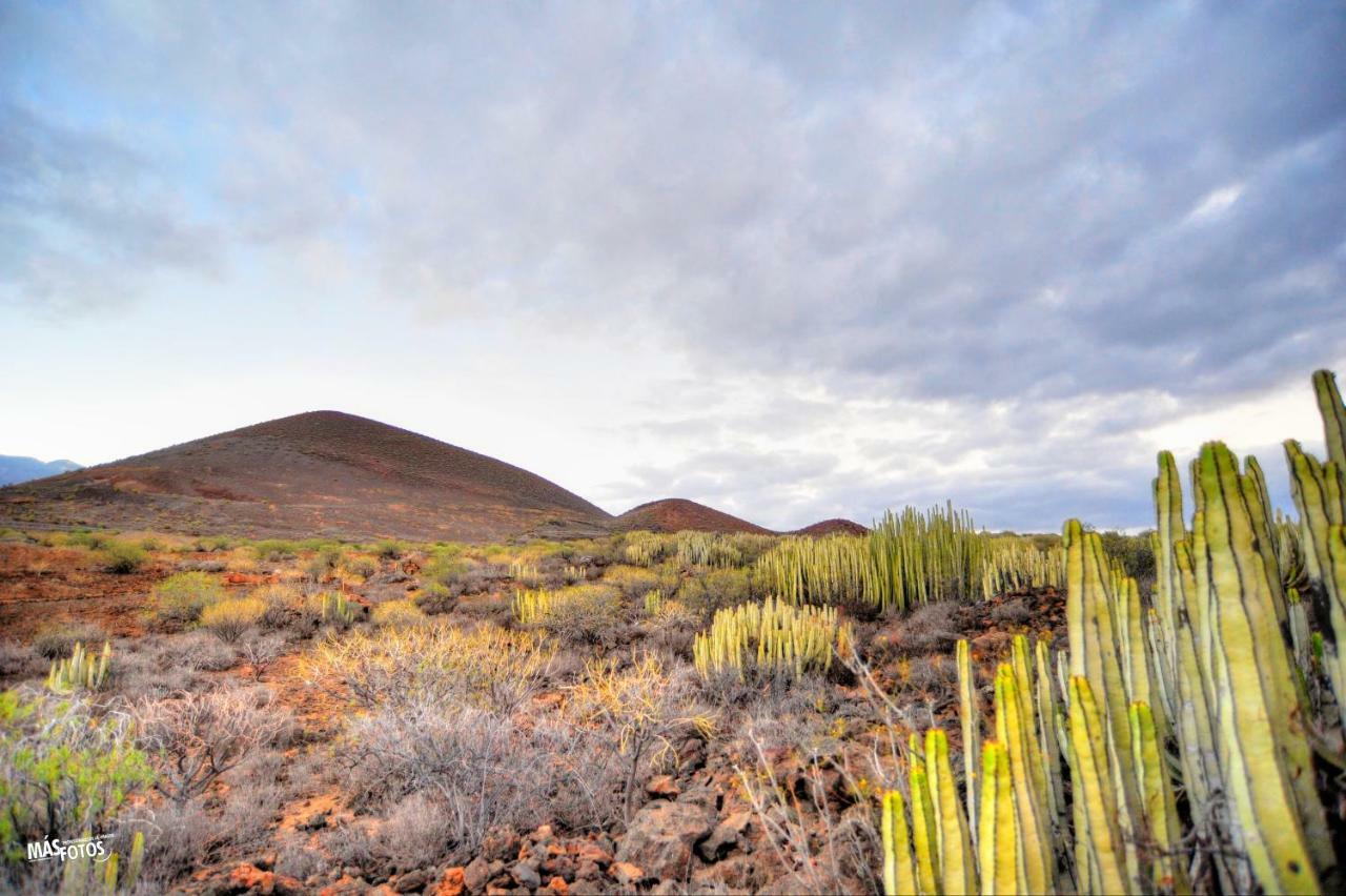 Naturaleza Viva El Socorro Buitenkant foto