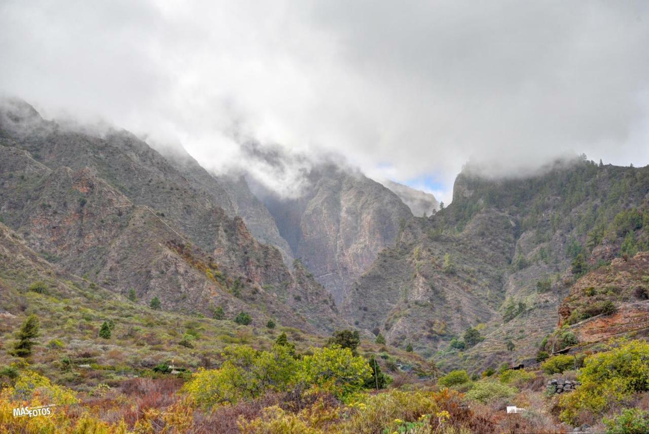 Naturaleza Viva El Socorro Buitenkant foto