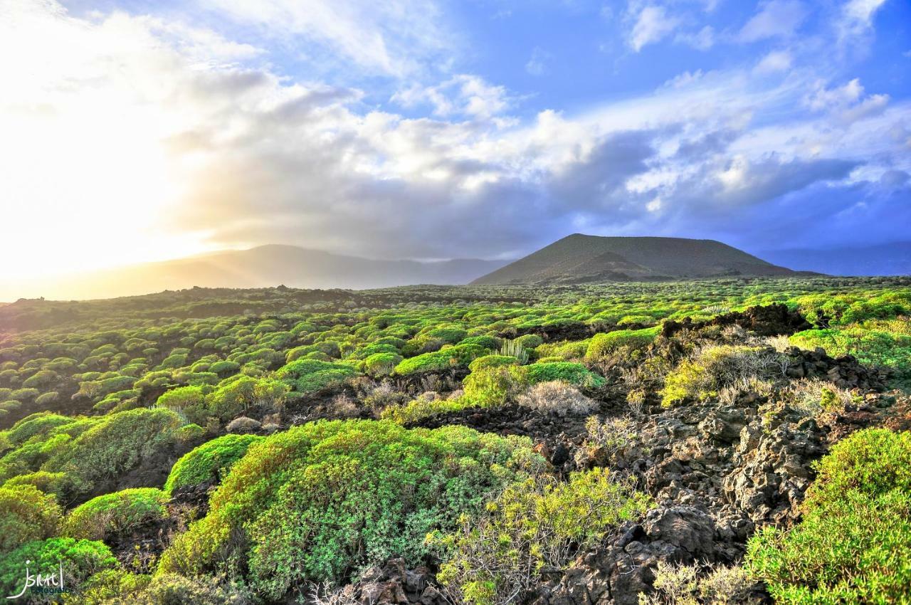 Naturaleza Viva El Socorro Buitenkant foto